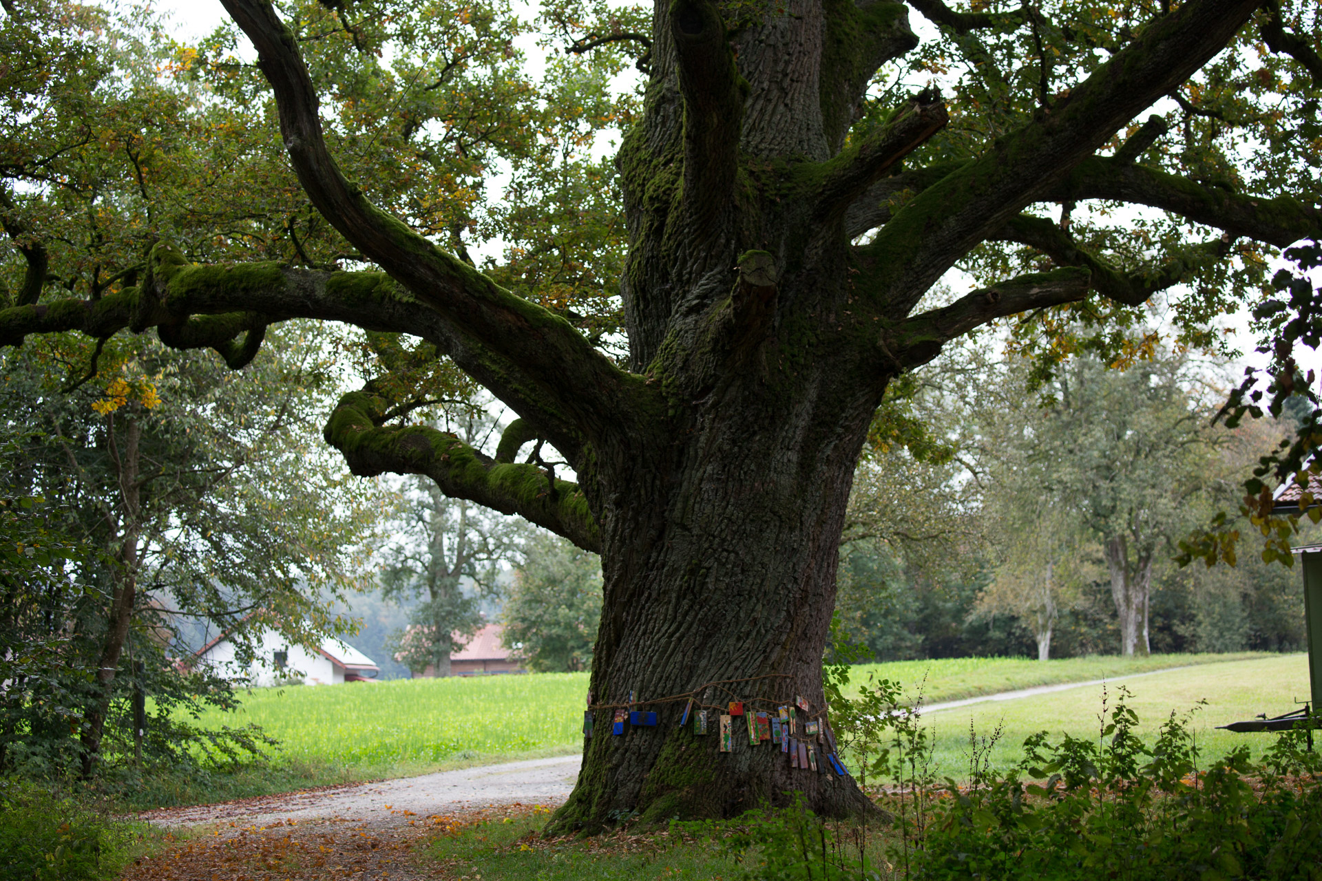 20231014100727 3K6A2231